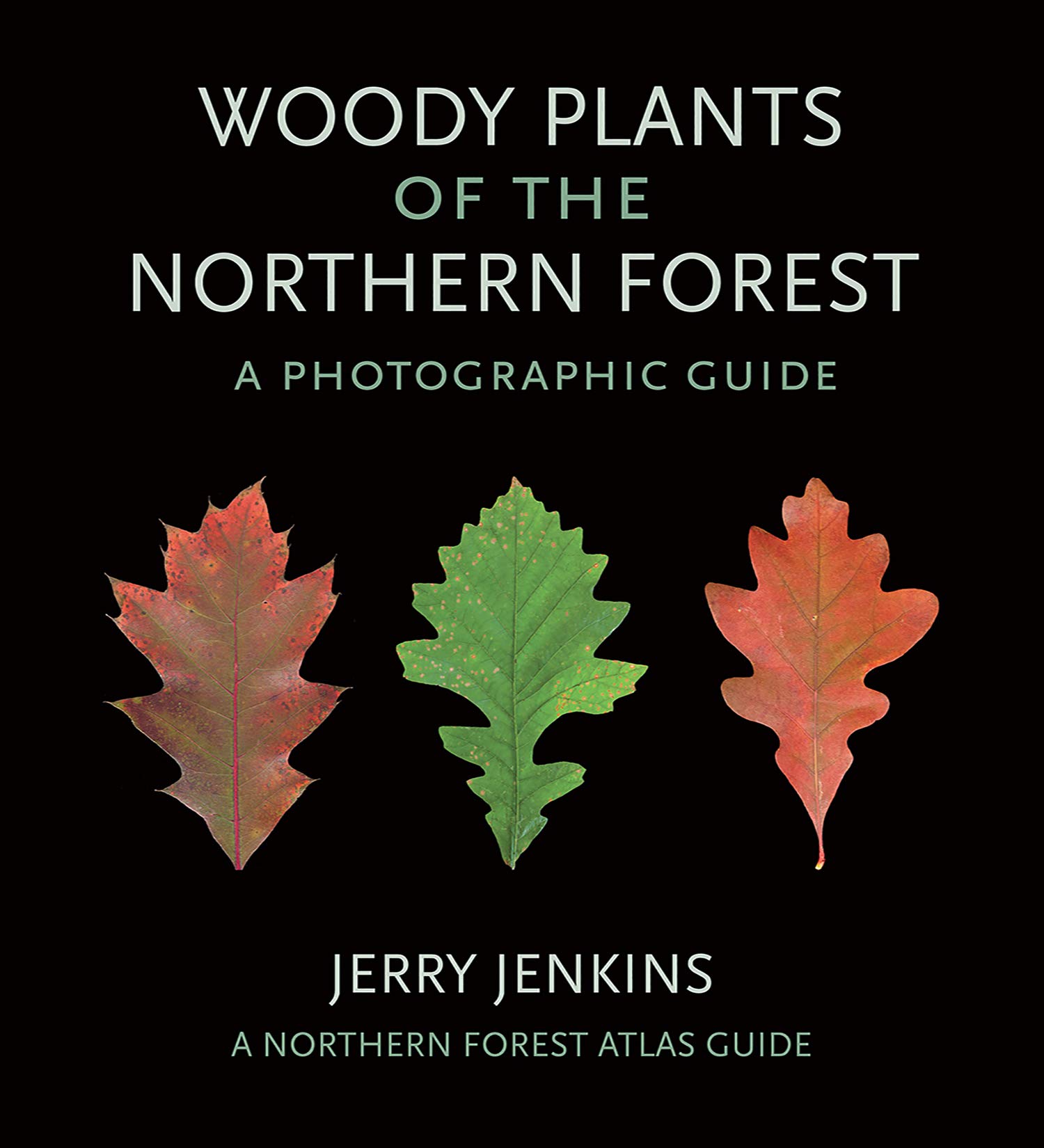 Image Woody plants of the northern forest : a photographic guide : a northern forest atlas guide