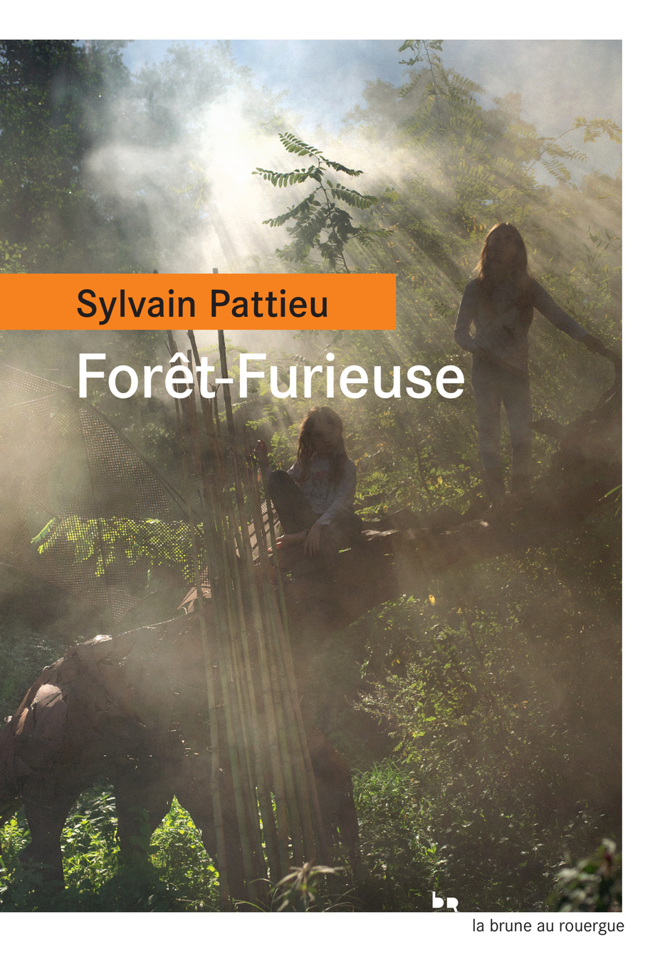 Image Forêt - Furieuse