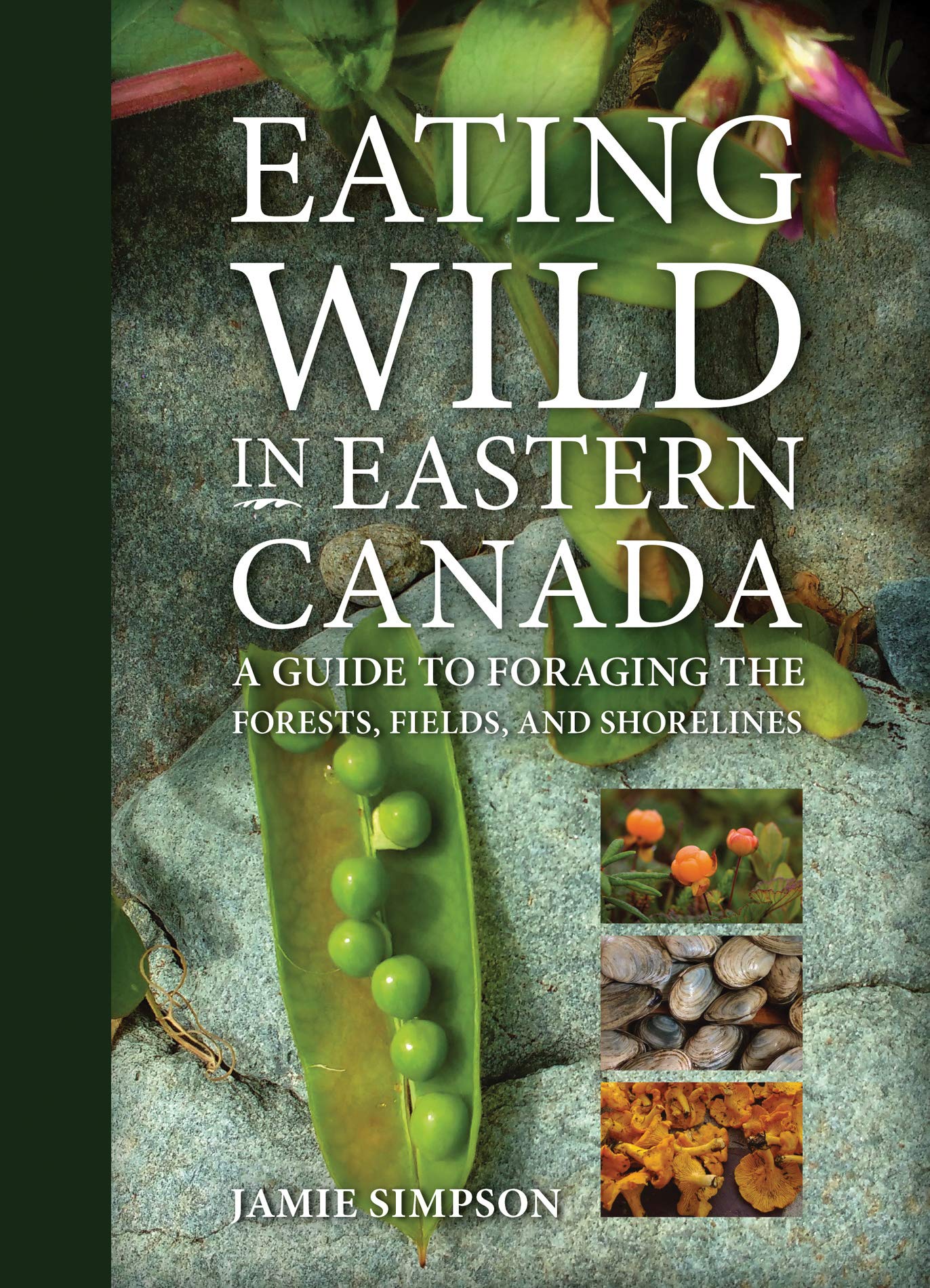 Image Eating wild in eastern Canada : a guide to foraging the forests, fields, and shorelines