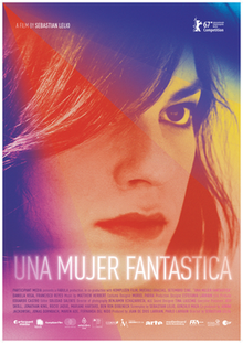 Image Una Mujer Fantástica - Une femme fantastique (en ligne)