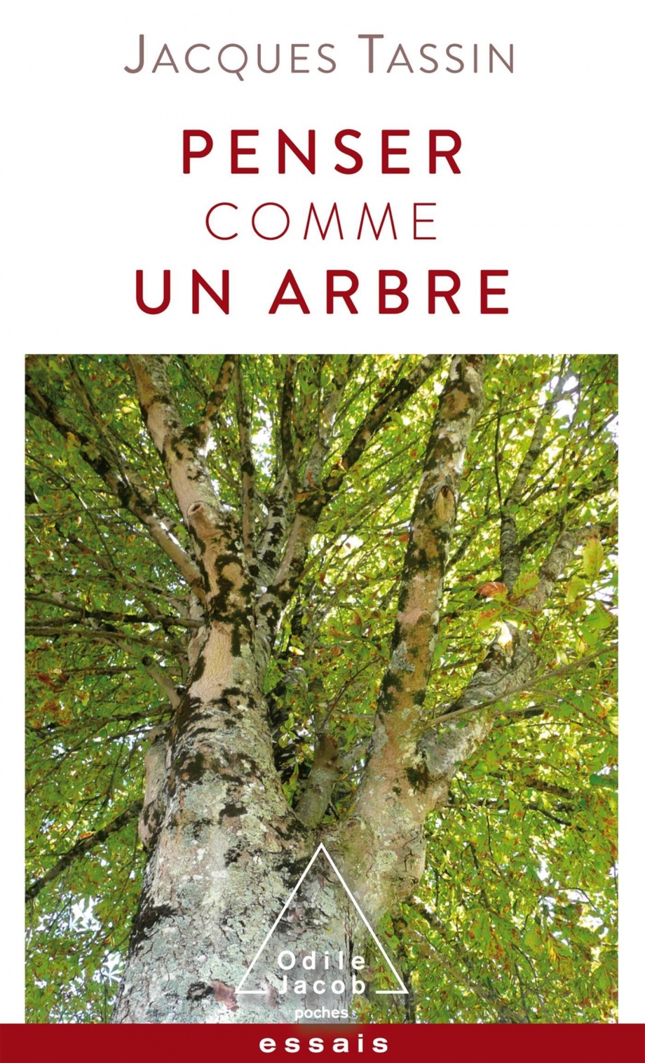 Image Penser comme un arbre