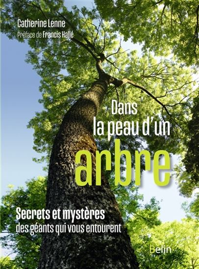 Image Dans la peau d'un arbre : secrets et mystères des géants qui vous entourent