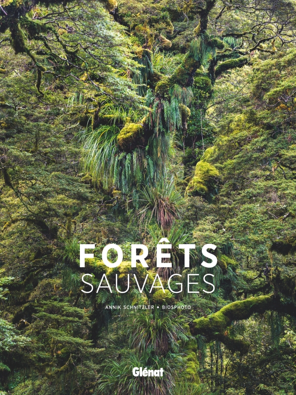 Image Forêts sauvages